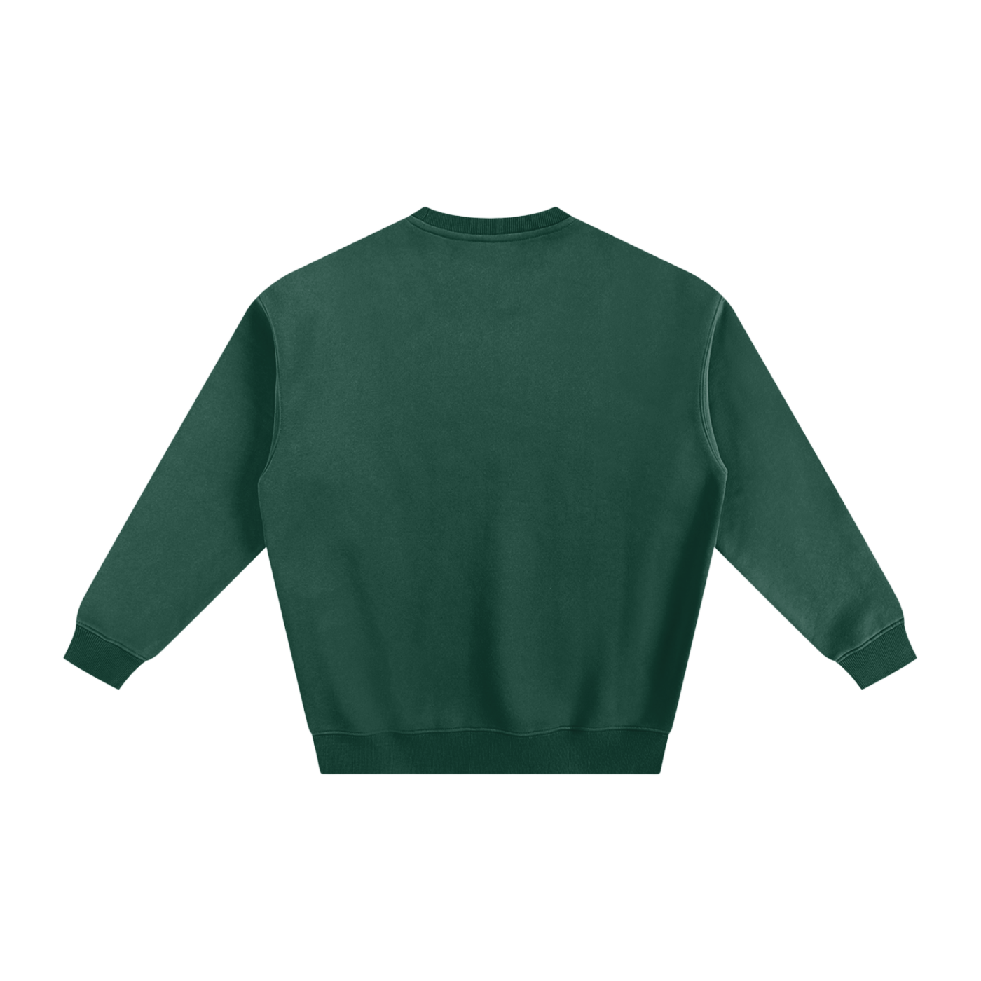 fleeced sweatshirt