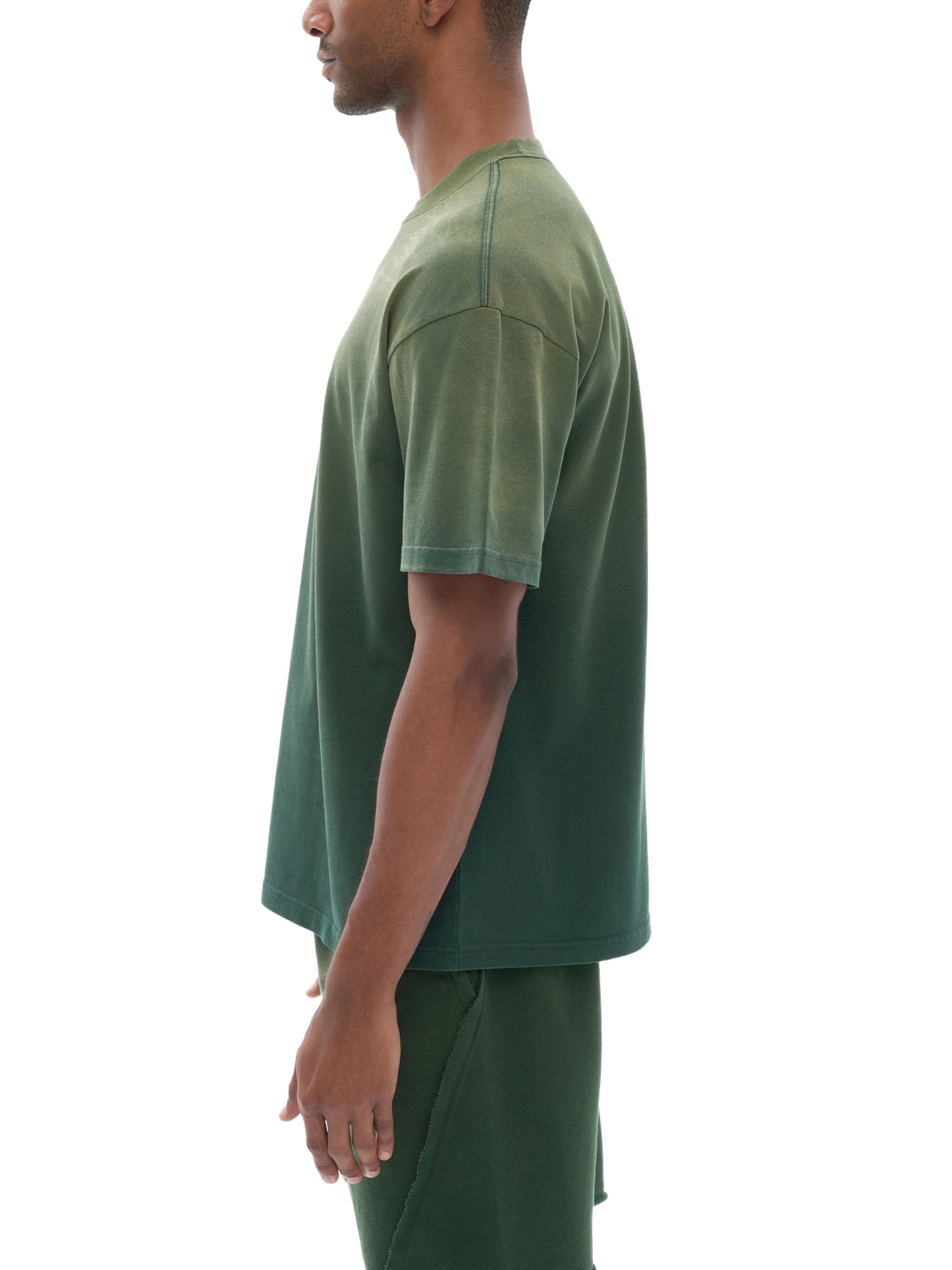 tiger stripe gradient washed t-shirt