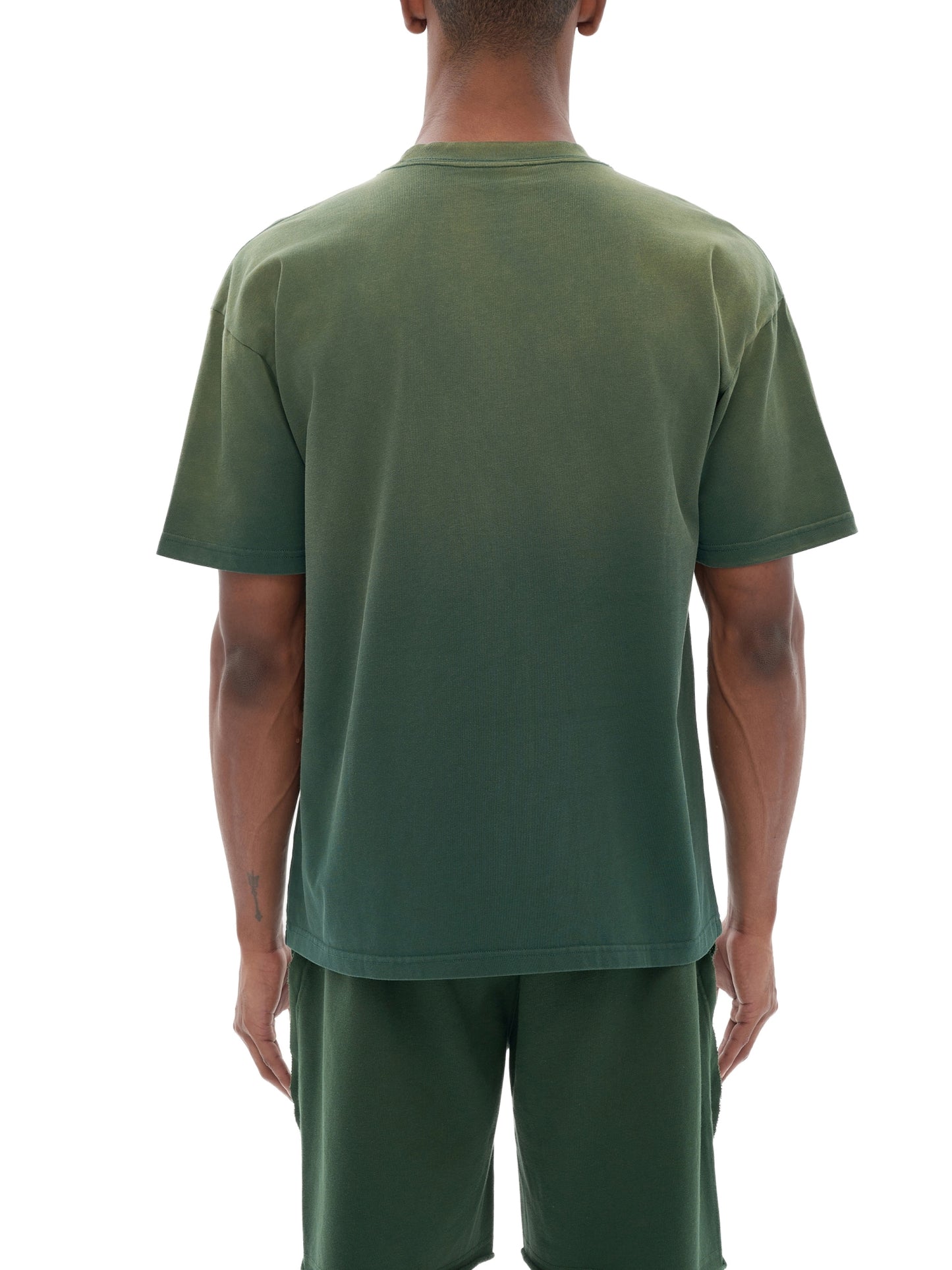 tiger stripe gradient washed t-shirt