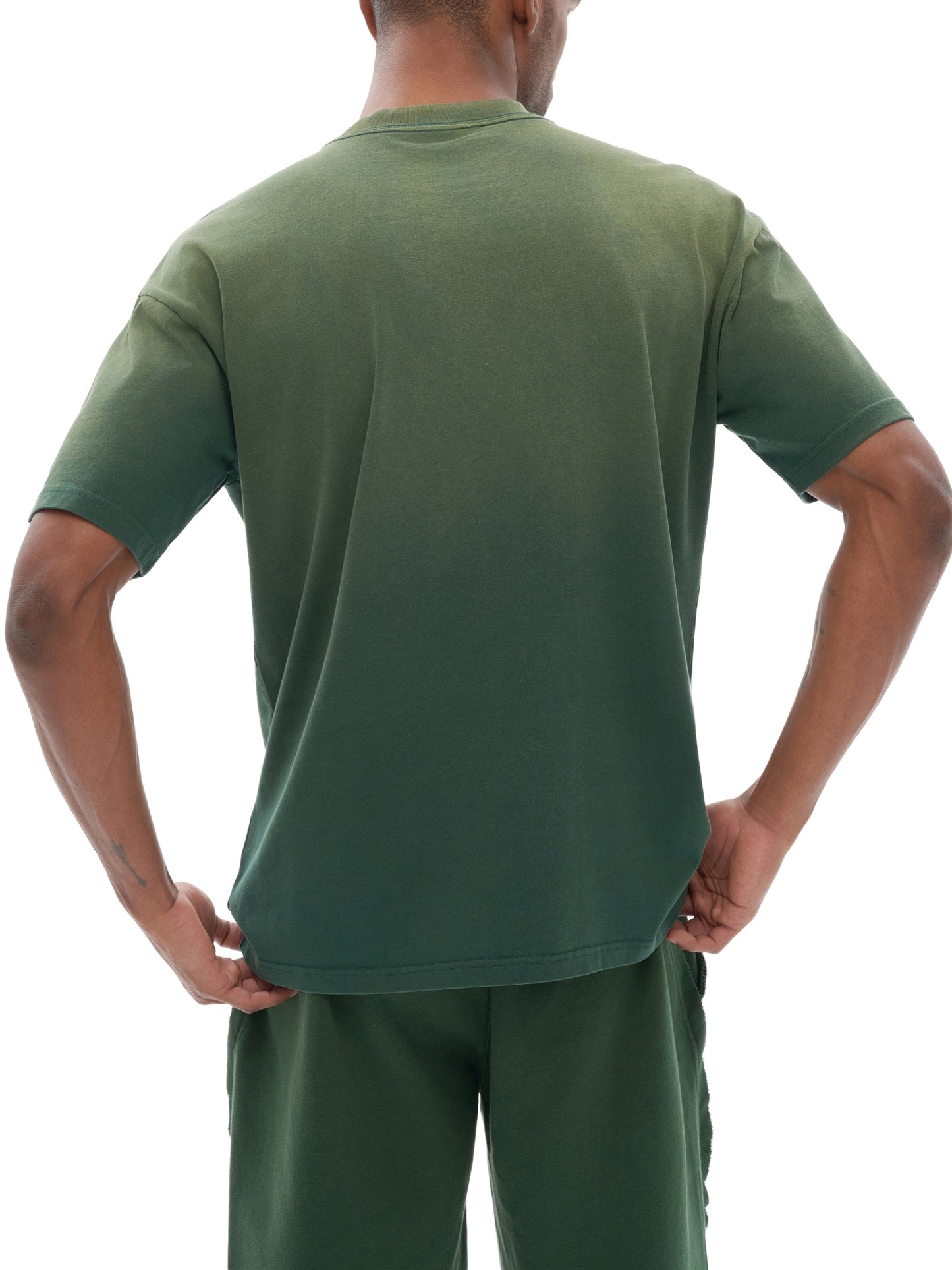 tiger stripe gradient washed t-shirt