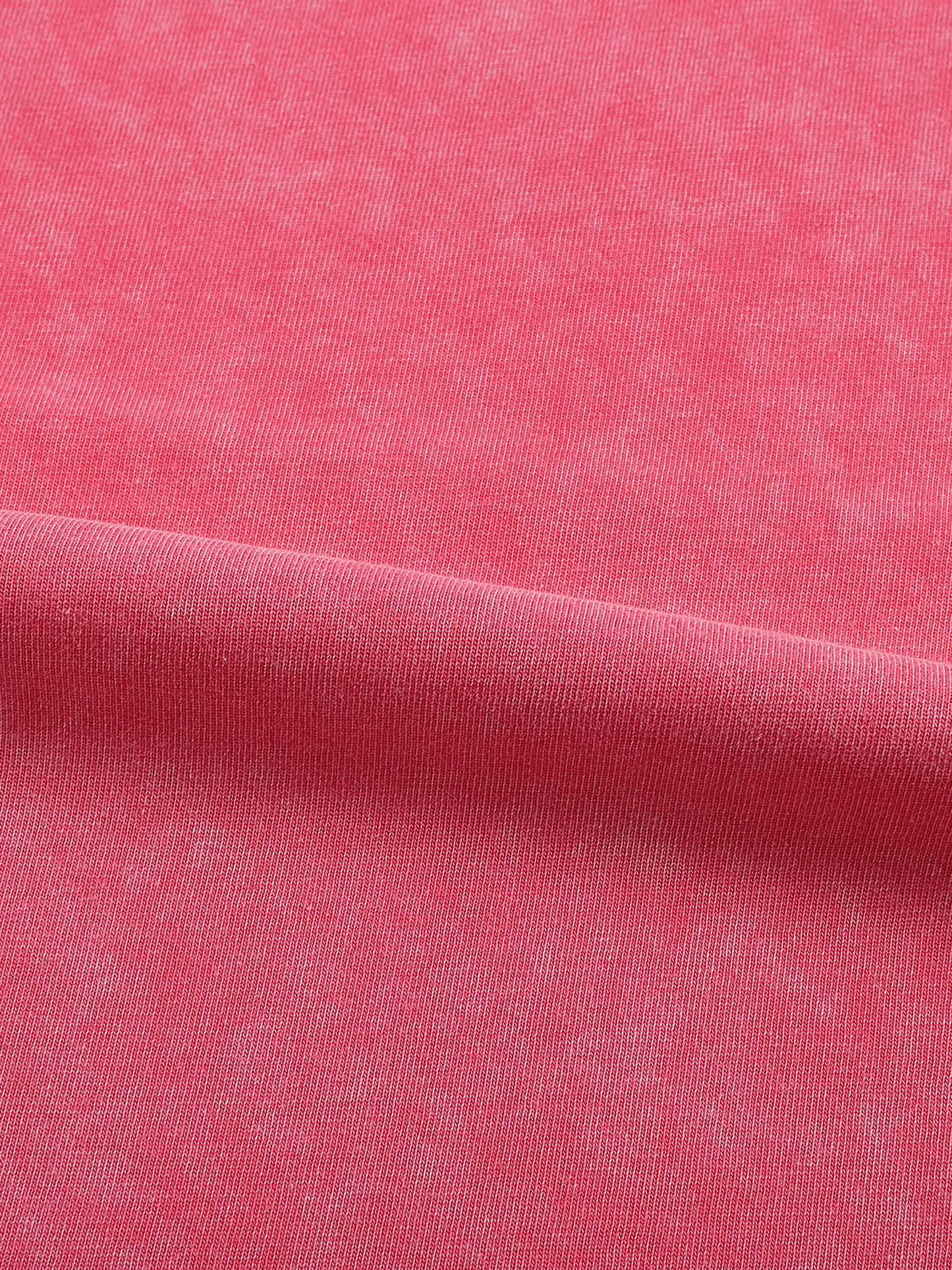 acid washed frayed edge t-shirt