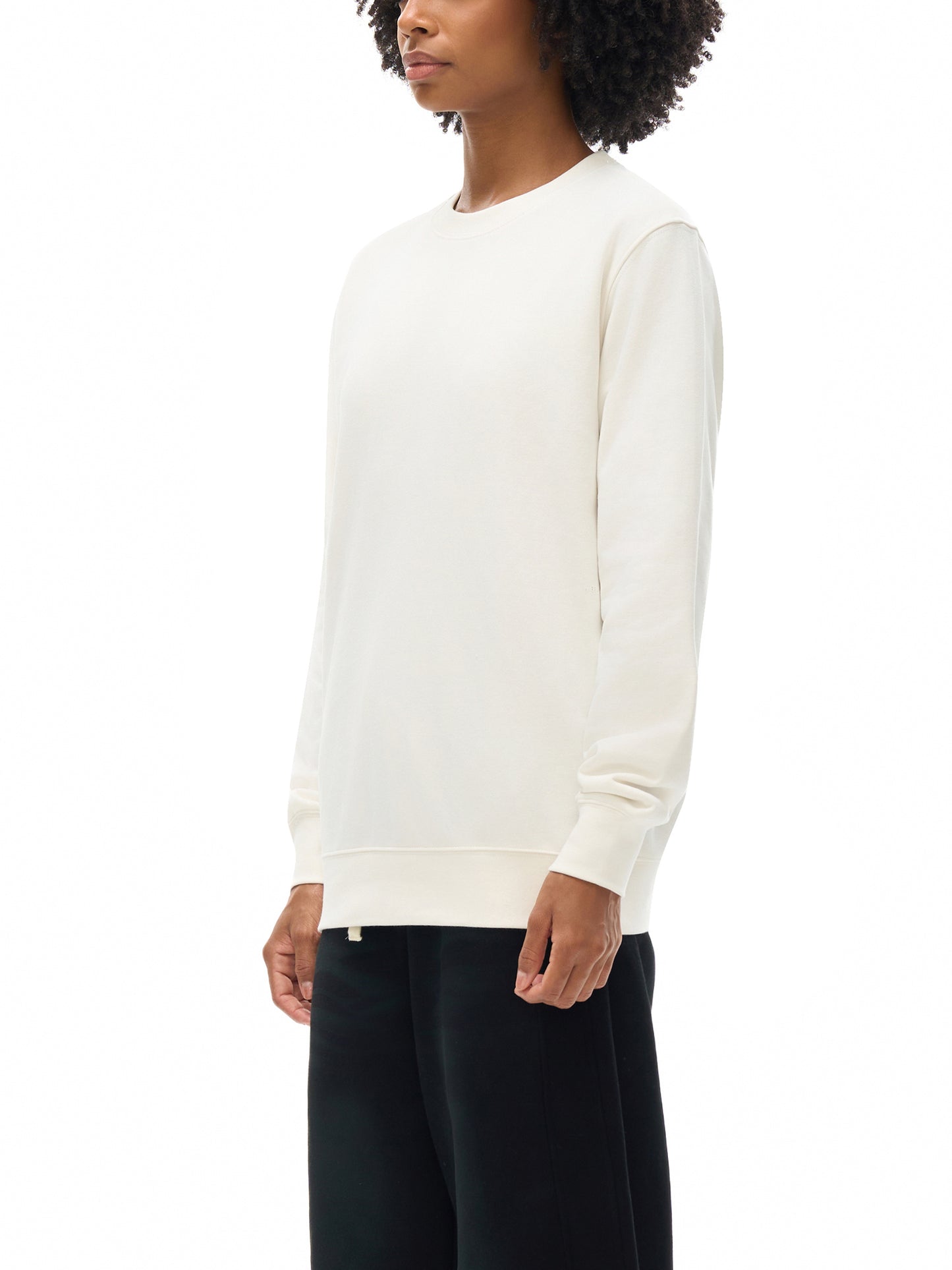 essential heavyweight crewneck  sweatshirt